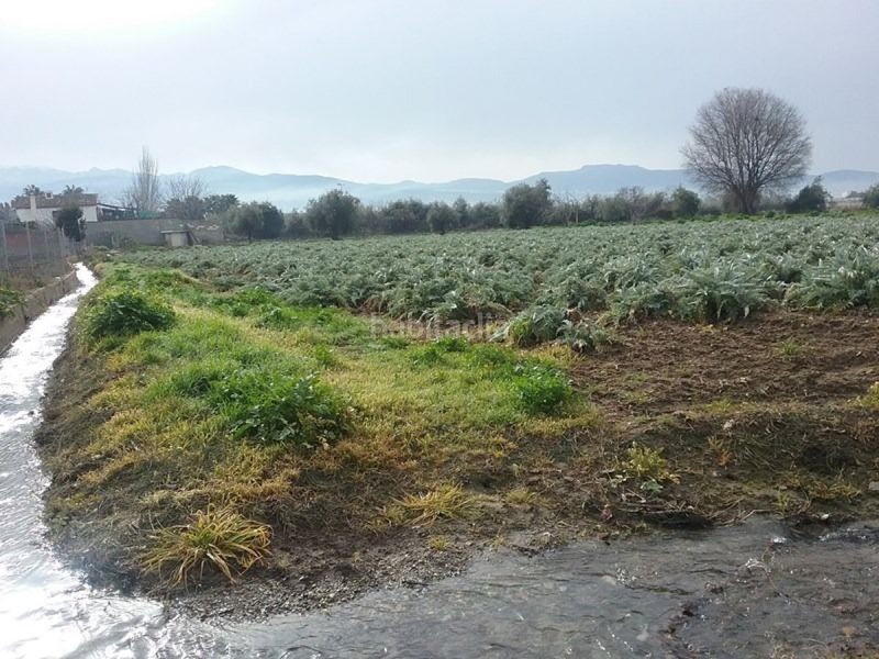 Foto 04a96cdd-0c4a-41d6-a3c7-491935a8721b. Finca rústica a Lancha del Genil Granada