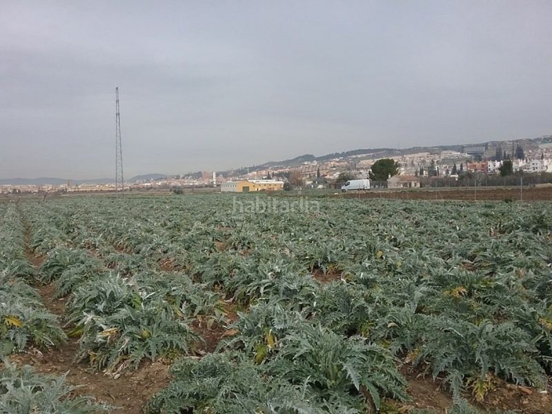 Foto 12213ee3-6e8b-489c-b83b-8379fc5353d7. Finca rústica a Lancha del Genil Granada