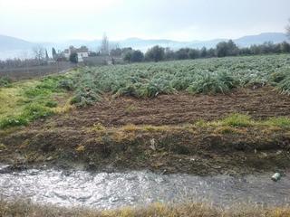 Propriété à Lancha del Genil. Oportunidad finca rústica pago del zaidín!!!