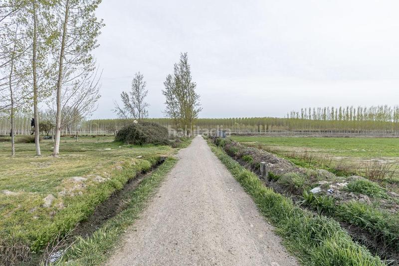 Foto b17ee092-6848-4afa-9041-cb01b73db1cf. Residential plot in Fuente Vaqueros