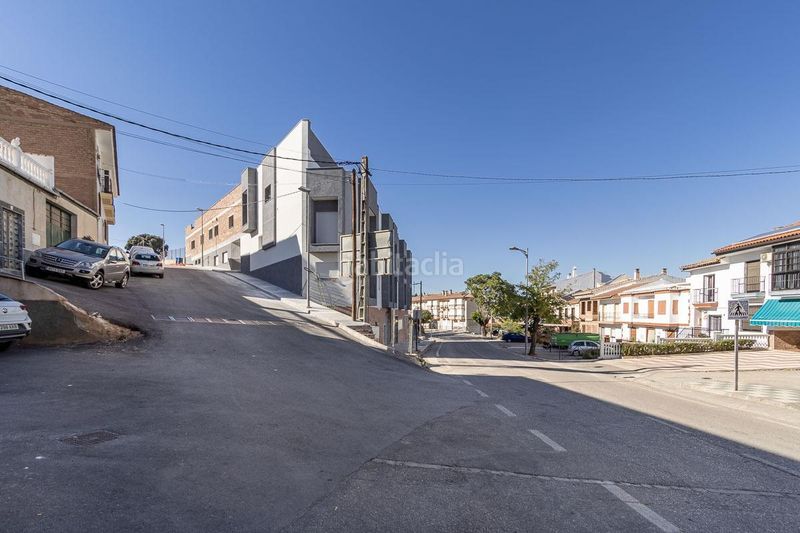 Foto 00aec576-6f47-4a9d-b1a3-5308fe3e06a0. Pis a Loja