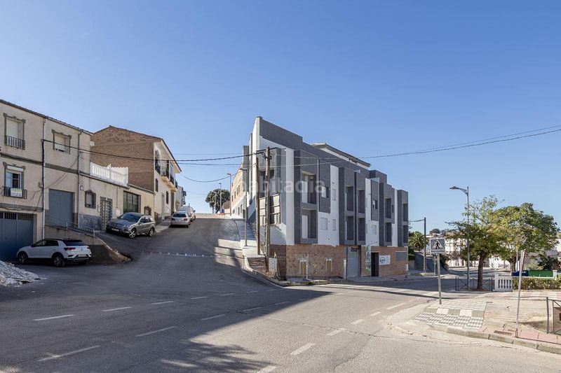 Foto dcdd7435-427a-4583-98e0-04d8696f16f3. Pis a Loja