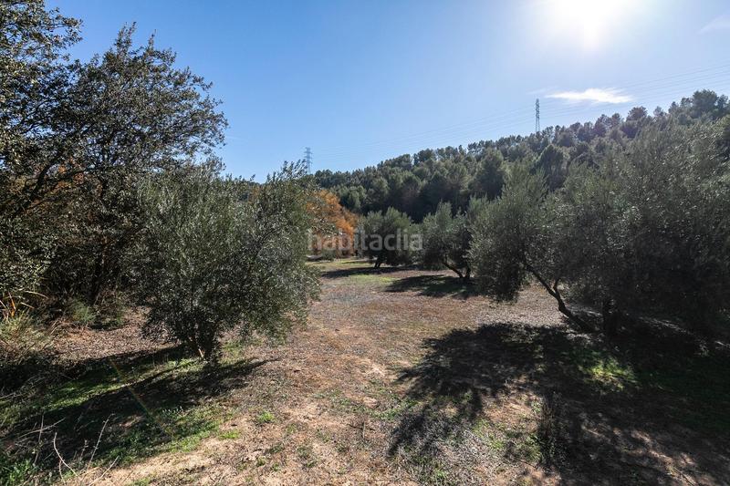 Foto 6a1af7f0-5001-43d1-925e-24b0b4d3032e. Finca rústica excelente olivar en el chaparral albolote en Atarfe