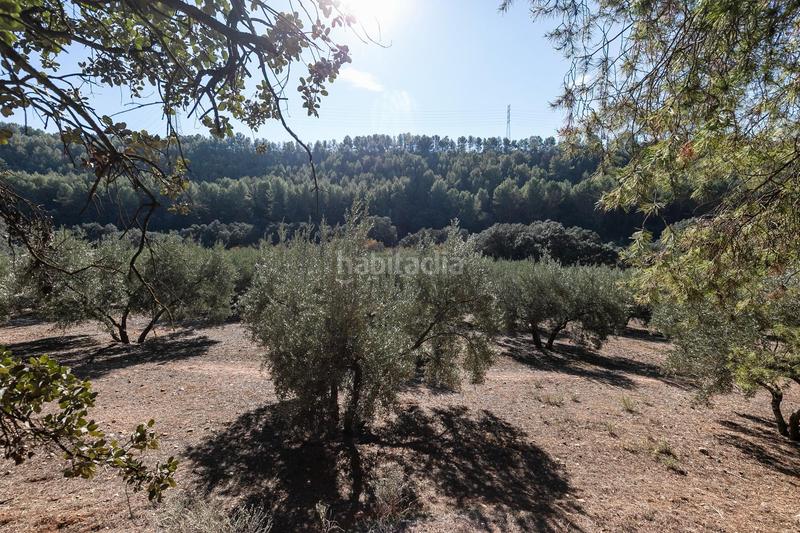 Foto fac8590f-2e53-4b3e-84b4-161b0173c3f3. Finca rústica excelente olivar en el chaparral albolote en Atarfe