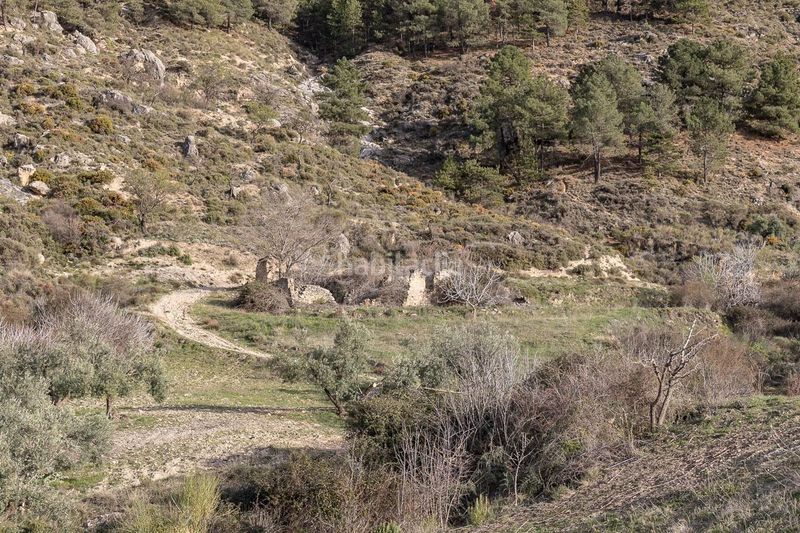 Foto 44fc4297-75d2-46e6-927f-6851864407ff. Finca rústica a Barrio de la Vega Monachil