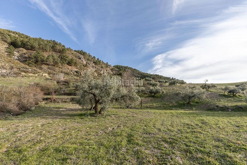Foto 49c236e1-9e22-4261-a8c0-66df9f1984c7. Finca rústica a Barrio de la Vega Monachil
