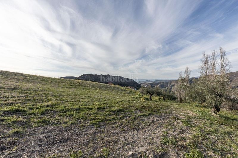 Foto 69c4e0a6-30de-4769-8b66-a660685057a6. Finca rústica a Barrio de la Vega Monachil