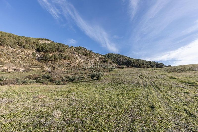 Foto addb860f-04f5-43b2-8d24-038e8566c8d8. Finca rústica a Barrio de la Vega Monachil