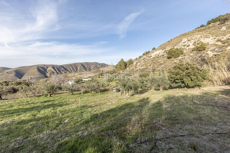 Foto d873954c-9dc6-4f1a-9946-4d4b536d2db6. Finca rústica a Barrio de la Vega Monachil