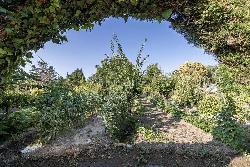 Foto 952bf827-8b83-430f-b24c-b1a2f5c8a9f3. Maison avec piscine dans La Zubia Ciudad Zubia (La)