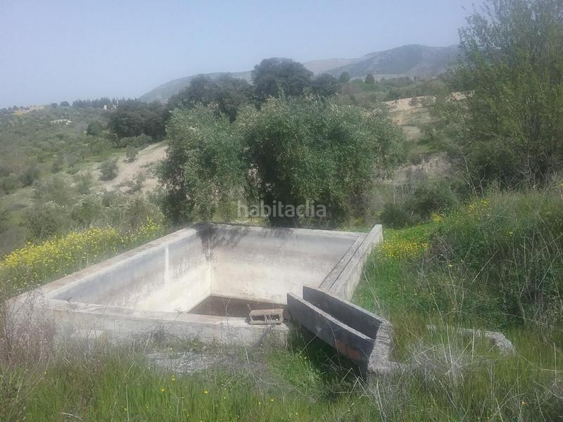 Foto 46ea101d-445c-455d-8590-ce8af4e372e0. Finca rústica olivar en el fargue. paraje aynadamar en Granada