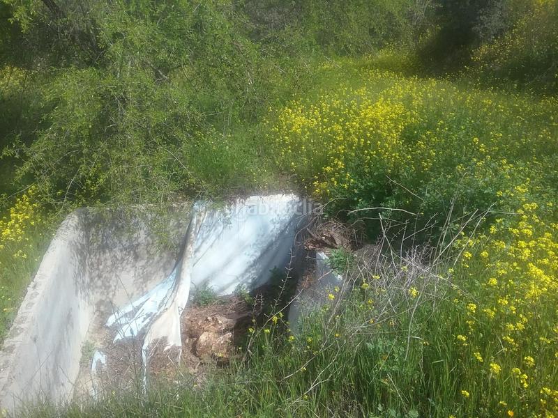 Foto a0091d92-9f88-42b9-9b47-2da1ac49ef35. Finca rústica olivar en el fargue. paraje aynadamar en Granada