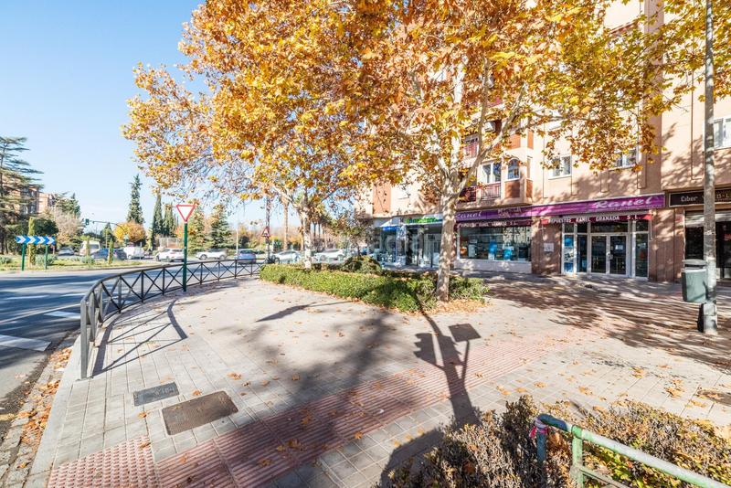Foto 10bbadc2-ae24-4f10-a28b-139535b9895e. Local commercial dans calle pdta francisco javier cob 18 dans Granada