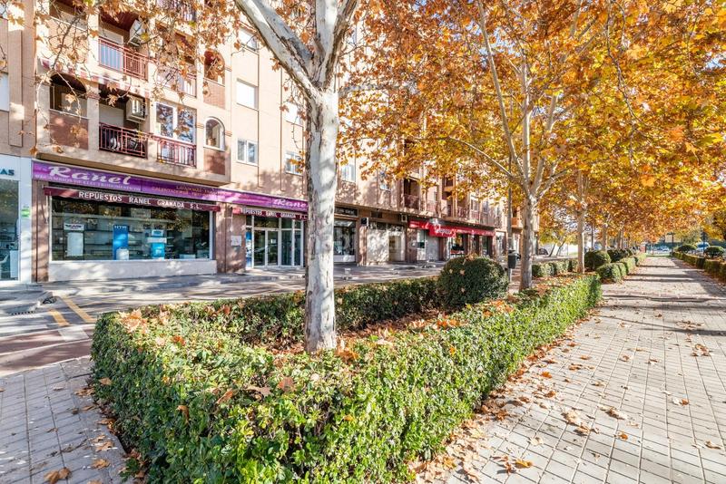 Foto cd0c63a5-b733-4a24-8f18-846e1cadec89. Local commercial dans calle pdta francisco javier cob 18 dans Granada