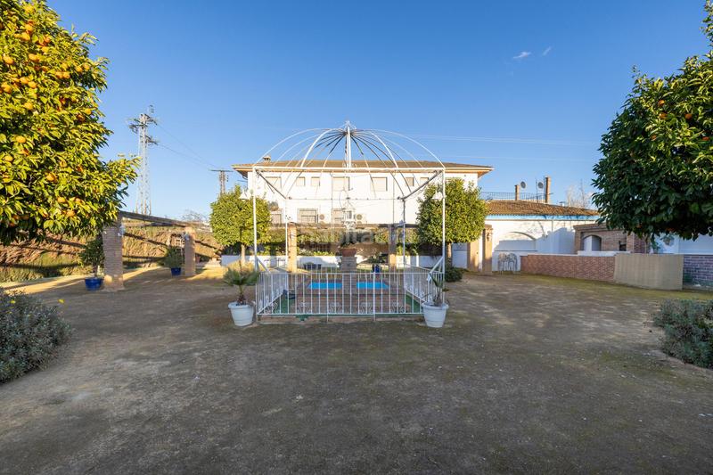 Foto 1e049742-87e4-4446-af5f-b4fd4312eda6. Local comercial a Camino de Ronda Granada