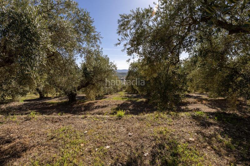 Foto 5a9f2e71-0137-4711-914b-6c8fc9e1b4d8. Finca rústica a Dúrcal