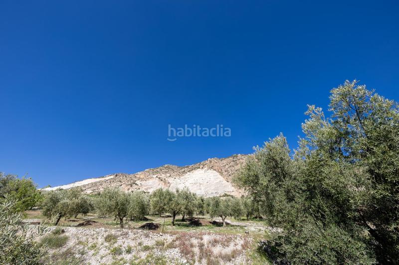 Foto 5e767f83-f0a6-4afa-9bf6-b1b230422374. Finca rústica a Dúrcal