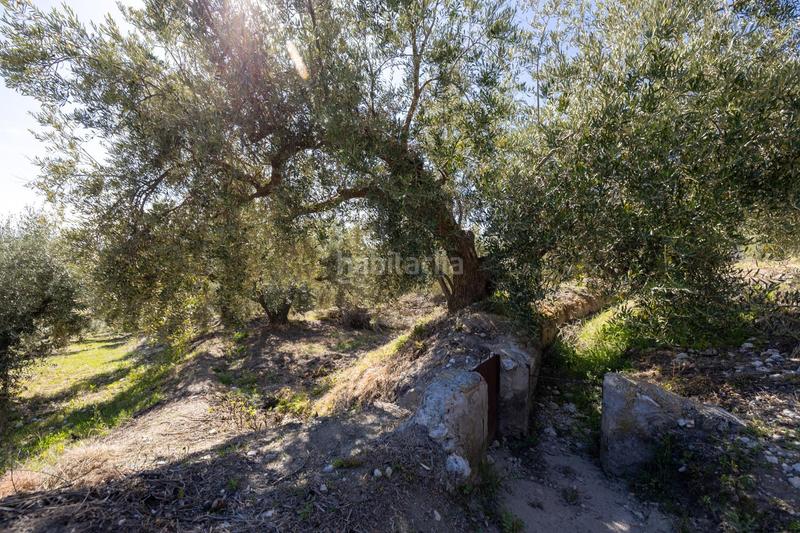 Foto 6249671c-e809-468b-a940-d803c2614d28. Finca rústica a Dúrcal