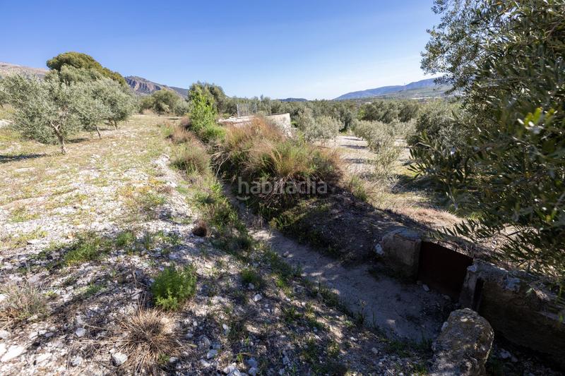 Foto 8247573a-8488-4681-88a4-018fc8727a16. Finca rústica a Dúrcal