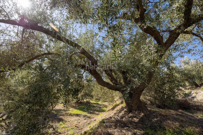 Foto a9166369-0c31-4998-9051-f7f915c319fe. Finca rústica a Dúrcal