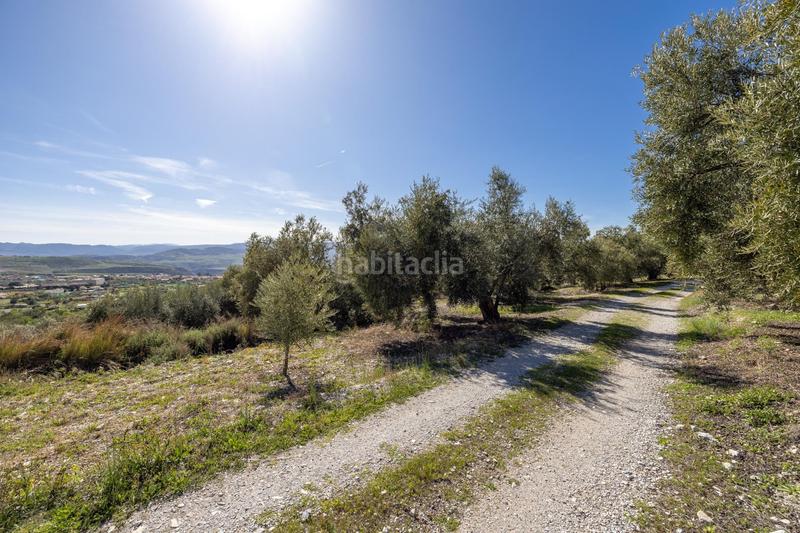 Foto ae3801f8-2966-472f-adeb-02b2e4d4e766. Finca rústica a Dúrcal