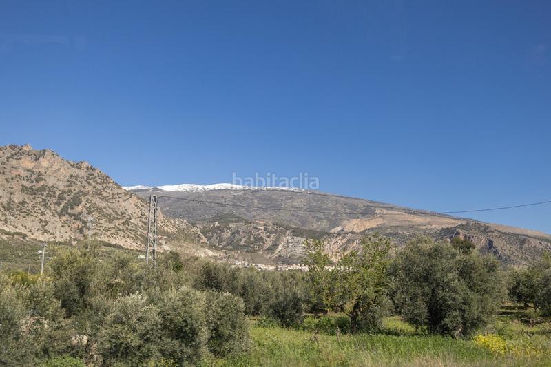 Foto b61197ca-439e-4a03-98eb-a3fb56a39f41. Finca rústica a Dúrcal