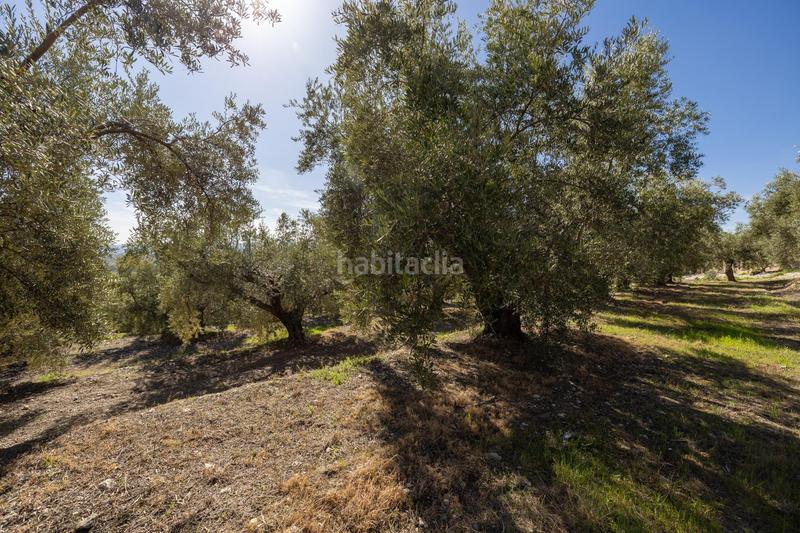 Foto dd670272-fa0b-46c2-9186-0c6fb2b587e6. Finca rústica a Dúrcal