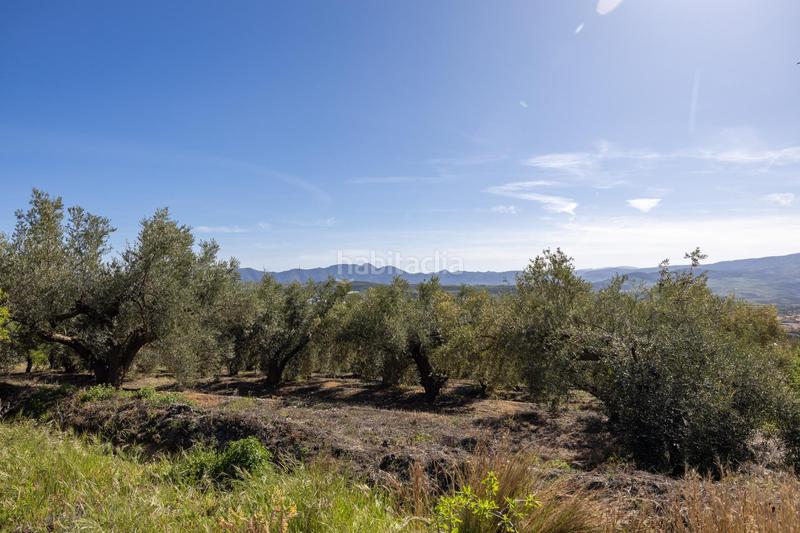 Foto eed29e72-36f9-46c5-8fea-573e21b26d6c. Finca rústica a Dúrcal