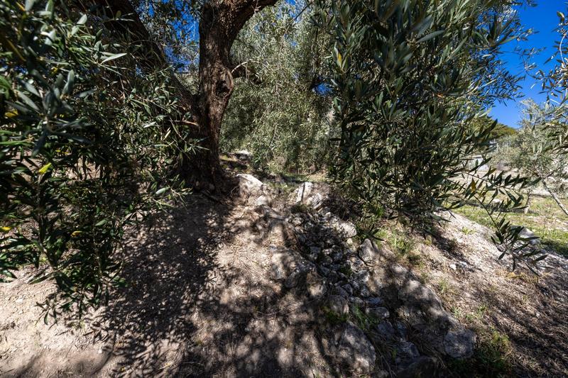 Foto f667128d-5bd7-4ff7-a89a-24205895f0da. Finca rústica a Dúrcal