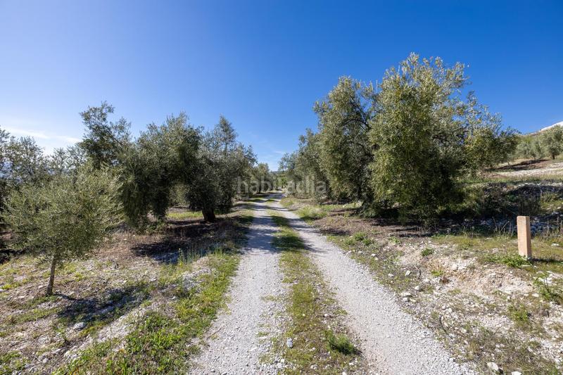 Foto fd0ba2a4-182b-4305-bbc4-a62e92461ad5. Finca rústica a Dúrcal