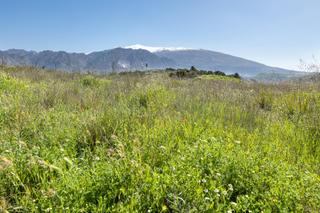 Finca rústica a Villamena. Terreno vallado en conchar a precio de ocasión!