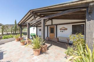 Finca rústica a Carretera facirretama s/n. Se vende explotacion agrícolaganadera en pleno funcionamiento