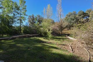 Finca rústica  Paraje de las perdices. Parcela rústica con proyecto de explotación ganadera y nave de a
