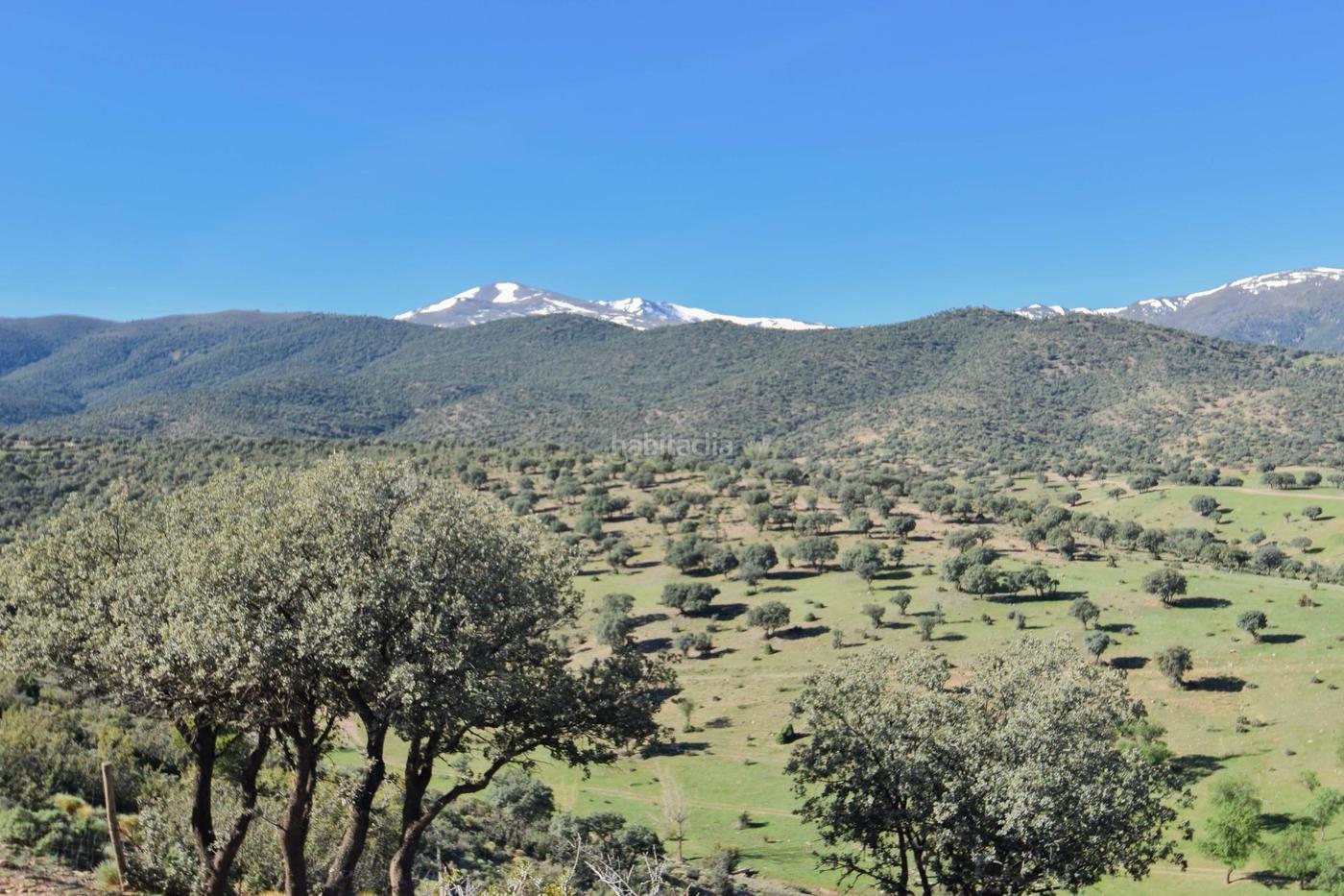 Parcela Rstica con Proyecto de Explotacin Ganadera y Nave de A Lugros