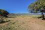 Ampliar foto 74cd9177-68f5-43e1-bc5a-8347d11fa6bd.jpg