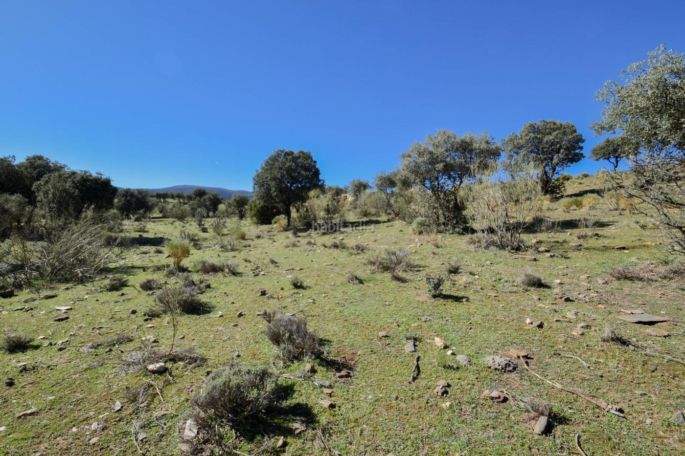 Parcela Rstica con Proyecto de Explotacin Ganadera y Nave de A Lugros