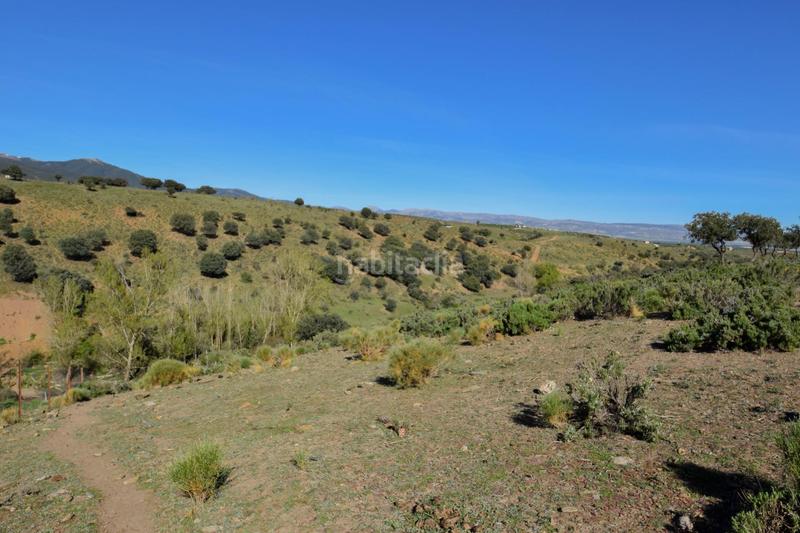 Foto 1b28c852-ab39-4e78-91bb-8e206b21acbc. Finca rústica parcela rústica con proyecto de explotación ganadera y nave de aperos 14,63 ha en Lugros