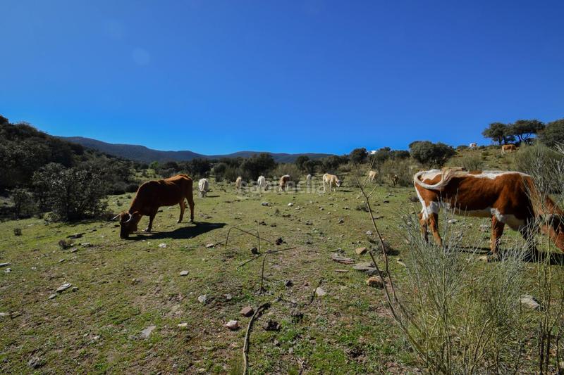 Foto 428fd948-dd3d-4a99-9f41-f8d23f333298. Finca rústica parcela rústica con proyecto de explotación ganadera y nave de aperos 14,63 ha en Lugros