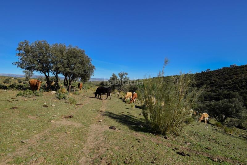 Foto 459fbc0b-f081-4217-bc87-2f1d38c3838d. Finca rústica parcela rústica con proyecto de explotación ganadera y nave de aperos 14,63 ha en Lugros