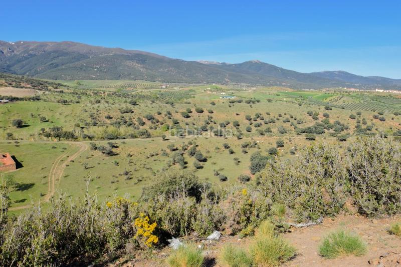 Foto 4939002d-eeac-456e-a80e-5df5767f261d. Finca rústica parcela rústica con proyecto de explotación ganadera y nave de aperos 14,63 ha en Lugros