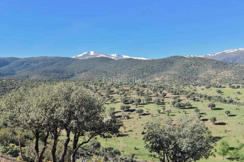 Foto 5942e828-f354-42b3-a6bd-c72b6ff3ce19. Finca rústica parcela rústica con proyecto de explotación ganadera y nave de aperos 14,63 ha en Lugros
