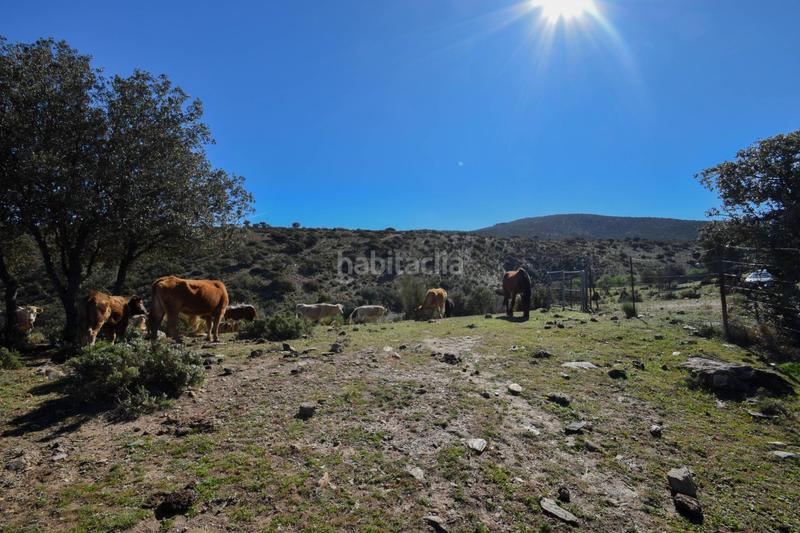 Foto 9a6ef19a-46e7-40e6-a681-2271c6098bb6. Finca rústica parcela rústica con proyecto de explotación ganadera y nave de aperos 14,63 ha en Lugros