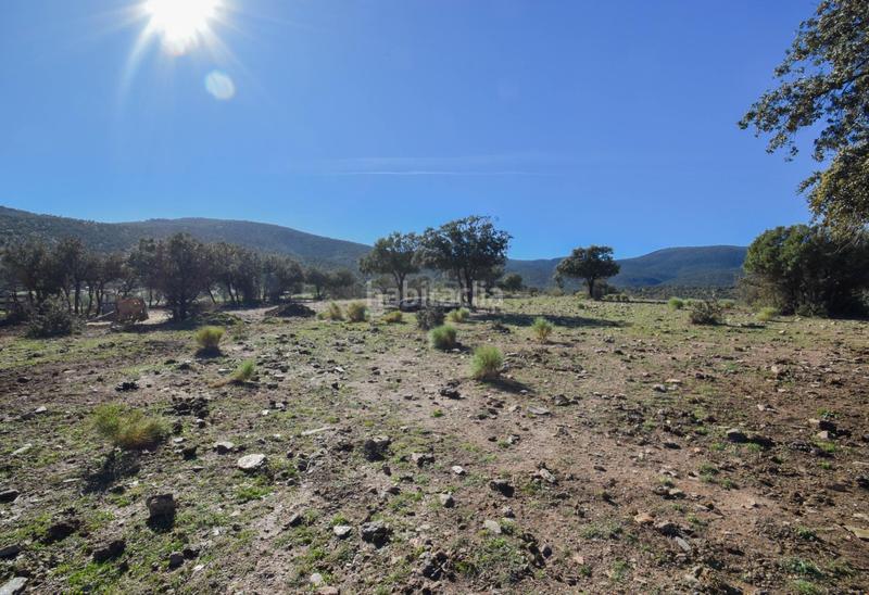 Foto 9c515b76-0798-43c1-8fb7-0fa075f60f9c. Finca rústica parcela rústica con proyecto de explotación ganadera y nave de aperos 14,63 ha en Lugros