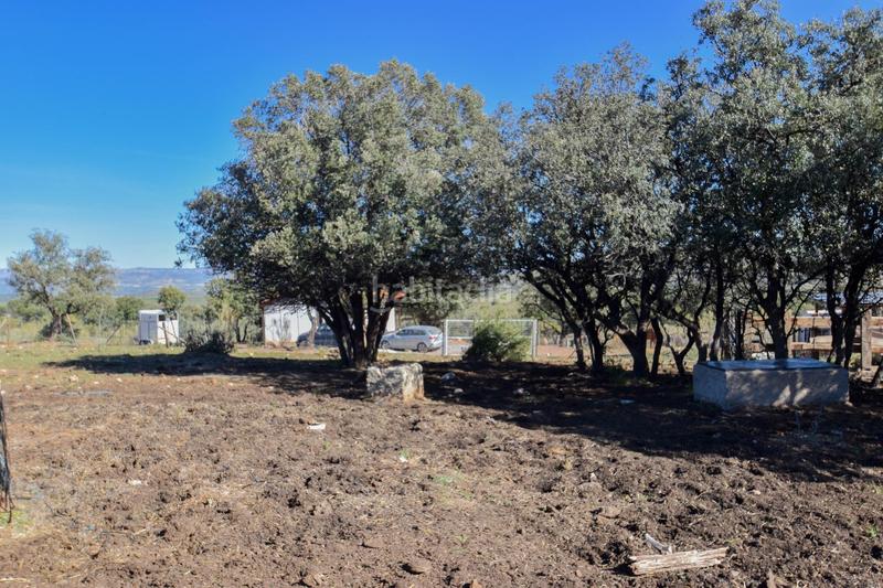 Foto c03060d8-fec4-4f93-b9cb-67c9e4e5c83d. Finca rústica parcela rústica con proyecto de explotación ganadera y nave de aperos 14,63 ha en Lugros