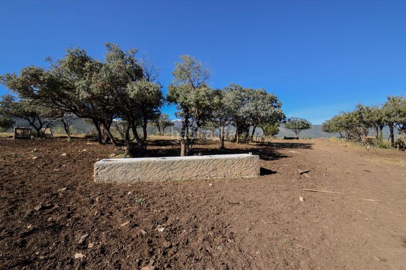 Foto c51d4872-9949-4ac9-8ec5-beeb4e4e68bf. Finca rústica parcela rústica con proyecto de explotación ganadera y nave de aperos 14,63 ha en Lugros