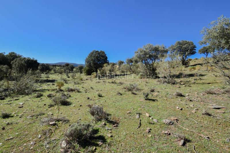 Foto ce20d4f7-cb86-49fc-8da3-08368b19e277. Finca rústica parcela rústica con proyecto de explotación ganadera y nave de aperos 14,63 ha en Lugros
