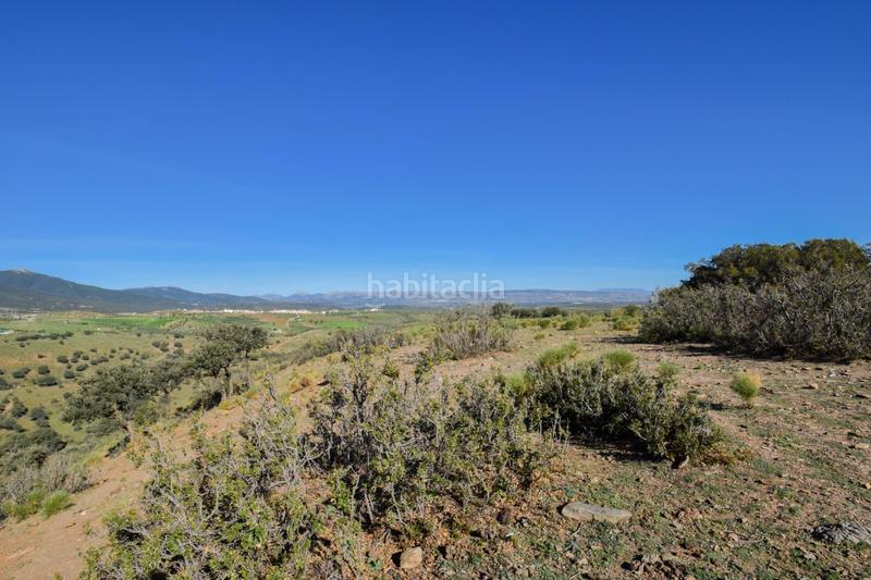 Foto d6a5467d-b6eb-4406-9371-e2db980956a8. Finca rústica parcela rústica con proyecto de explotación ganadera y nave de aperos 14,63 ha en Lugros