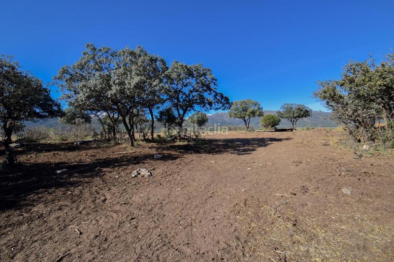 Foto da14cdc1-4983-44dd-8073-3a0718d85fc3. Finca rústica parcela rústica con proyecto de explotación ganadera y nave de aperos 14,63 ha en Lugros
