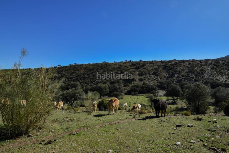 Foto da9c2770-47d1-4848-b7f5-c6a7ce930b92. Finca rústica parcela rústica con proyecto de explotación ganadera y nave de aperos 14,63 ha en Lugros