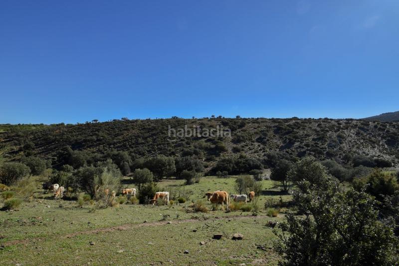 Foto e69b7816-ff90-4782-8bb5-119d695d4db4. Finca rústica parcela rústica con proyecto de explotación ganadera y nave de aperos 14,63 ha en Lugros